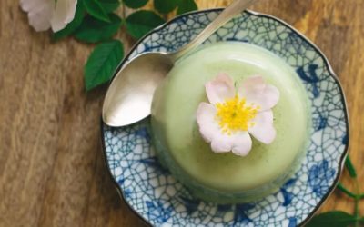 Matcha Green Tea Panna Cotta